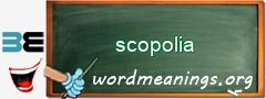 WordMeaning blackboard for scopolia